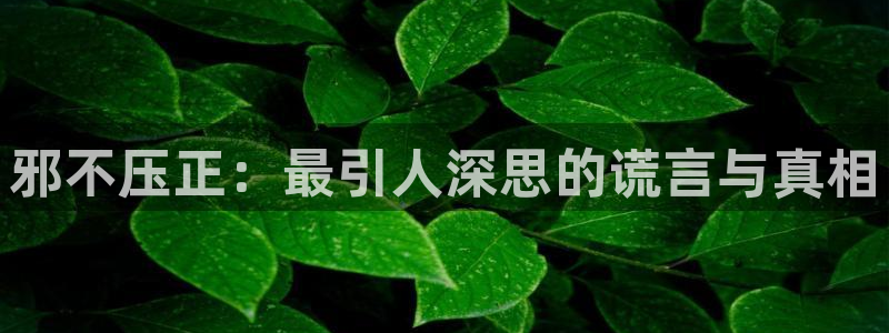 香蕉漫画视频：邪不压正：最引人深思的谎言与真相