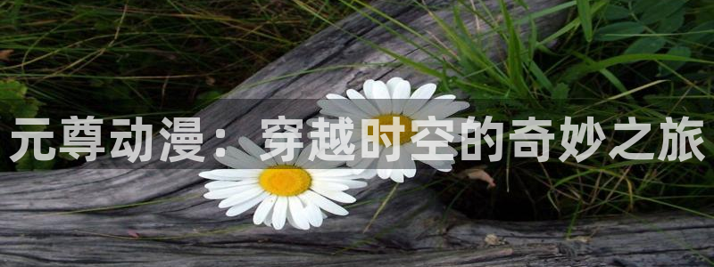 香蕉文化免费下拉式漫画书：元尊动漫：穿越时空的奇妙之旅