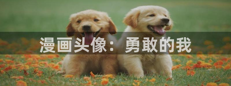 香蕉文化漫画免费在线观看：漫画头像：勇敢的我